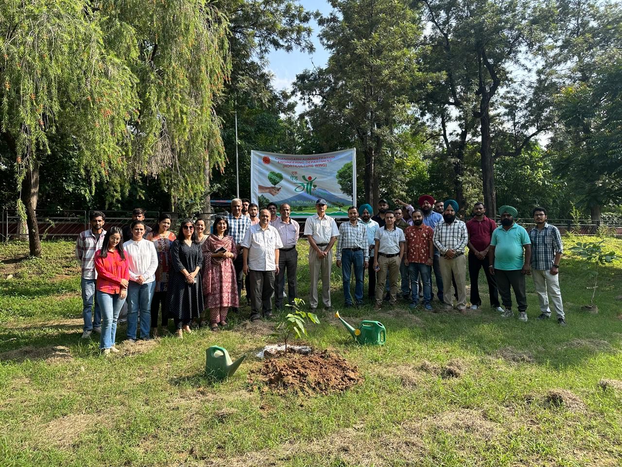 Tree plantation drive was organized by Urban Planning Department in collaboration with Horticulture Wing